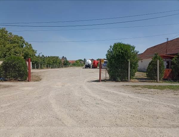 Cacak